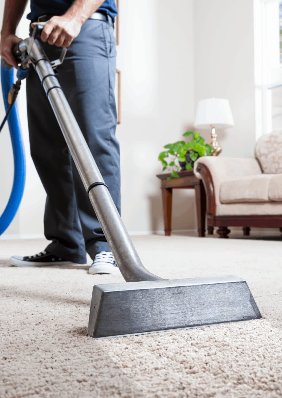 Carpet Cleaning Services